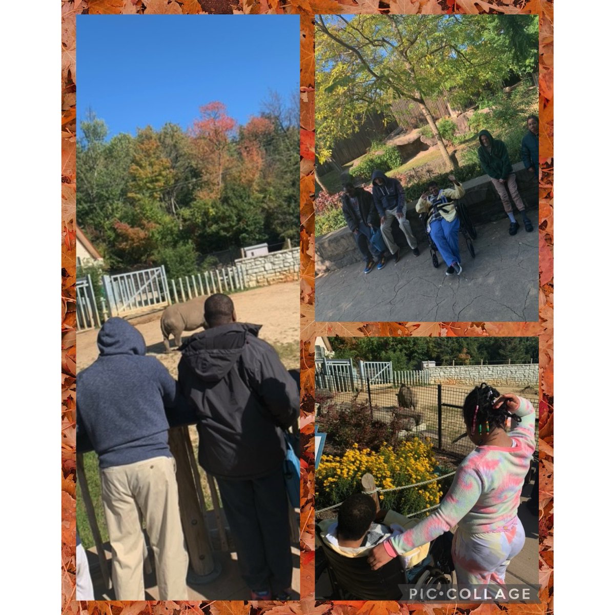 SolutionsNcc's tweet photo. Broadview Heights Day Program took a trip to the Cleveland Metroparks Zoo today. The weather was perfect and everyone had a great time! #zoo #clevelandmetroparkszoo #metroparks #animals #funtogether #activities #dayprogram #BHDP🐼🐨🐻❄️ https://t.co/LEMbnrwGYt