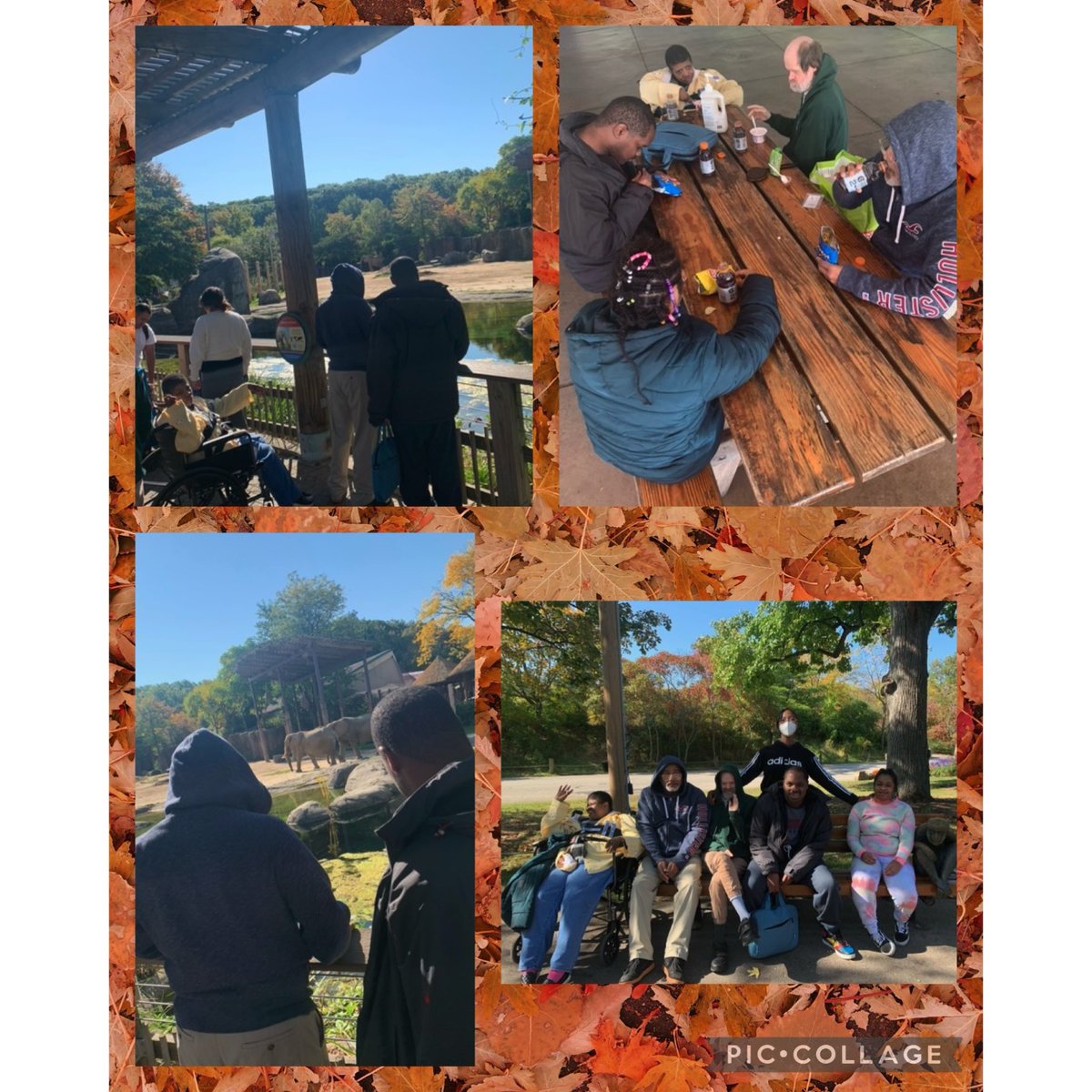 SolutionsNcc's tweet photo. Broadview Heights Day Program took a trip to the Cleveland Metroparks Zoo today. The weather was perfect and everyone had a great time! #zoo #clevelandmetroparkszoo #metroparks #animals #funtogether #activities #dayprogram #BHDP🐼🐨🐻❄️ https://t.co/LEMbnrwGYt