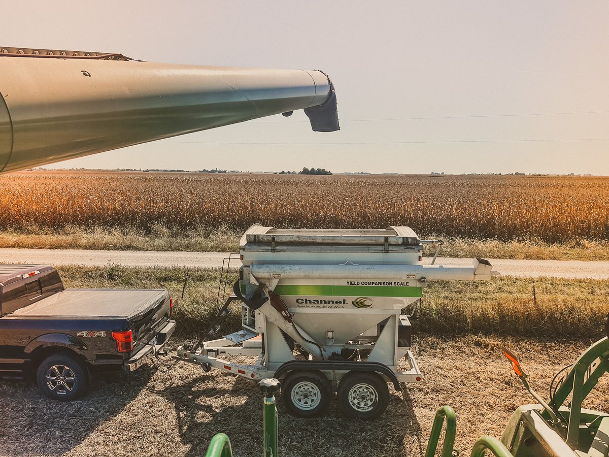 Megan (Ott) Olson tweet media