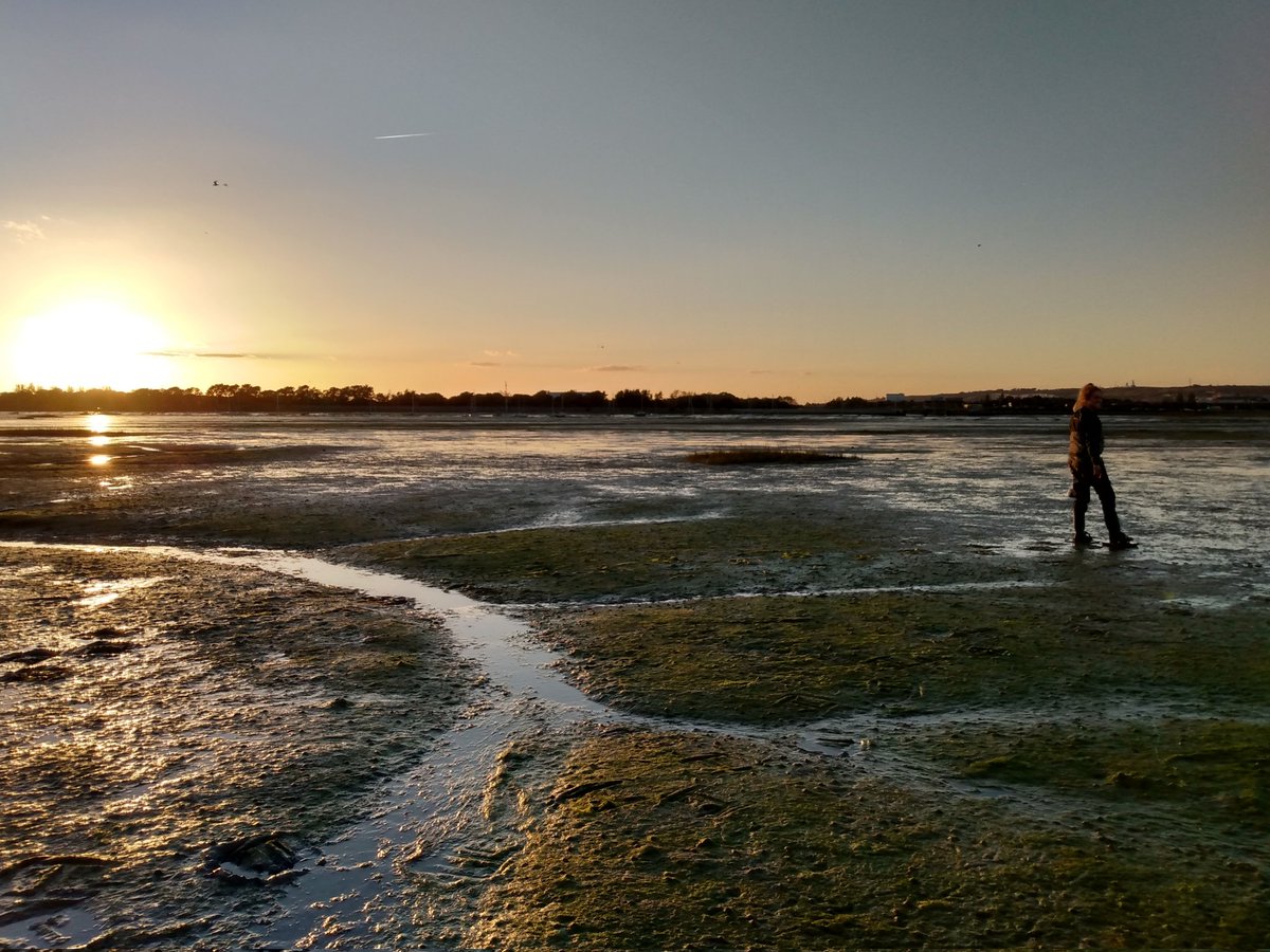 Finished collecting samples today out on the mud with <a href="/EmmaAlice_W/">EmmaAliceW</a> and a beautiful sunset