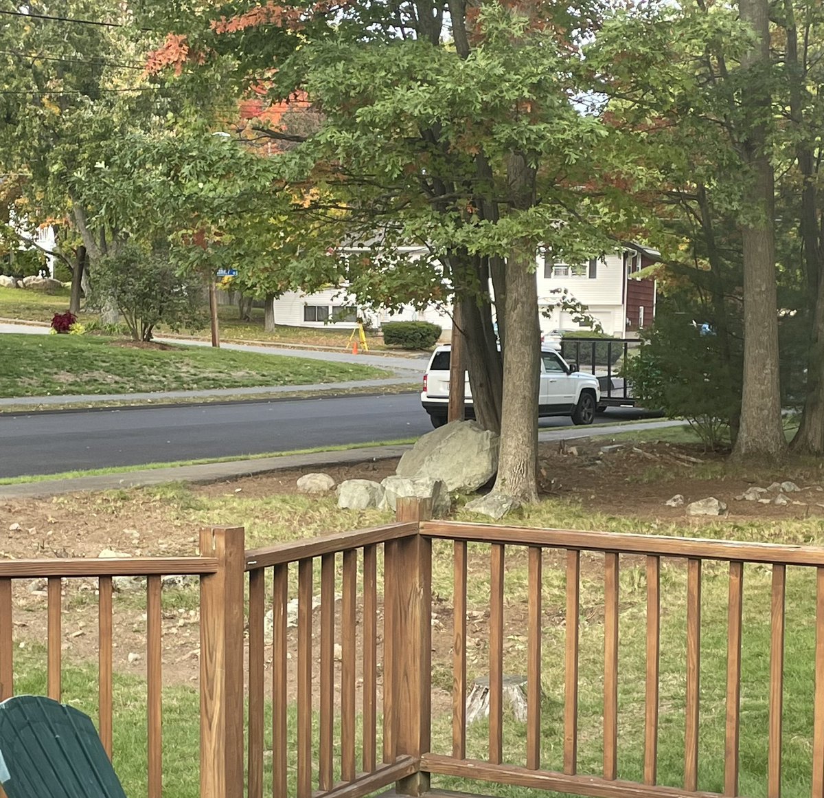 JoAnn Krall tweet media