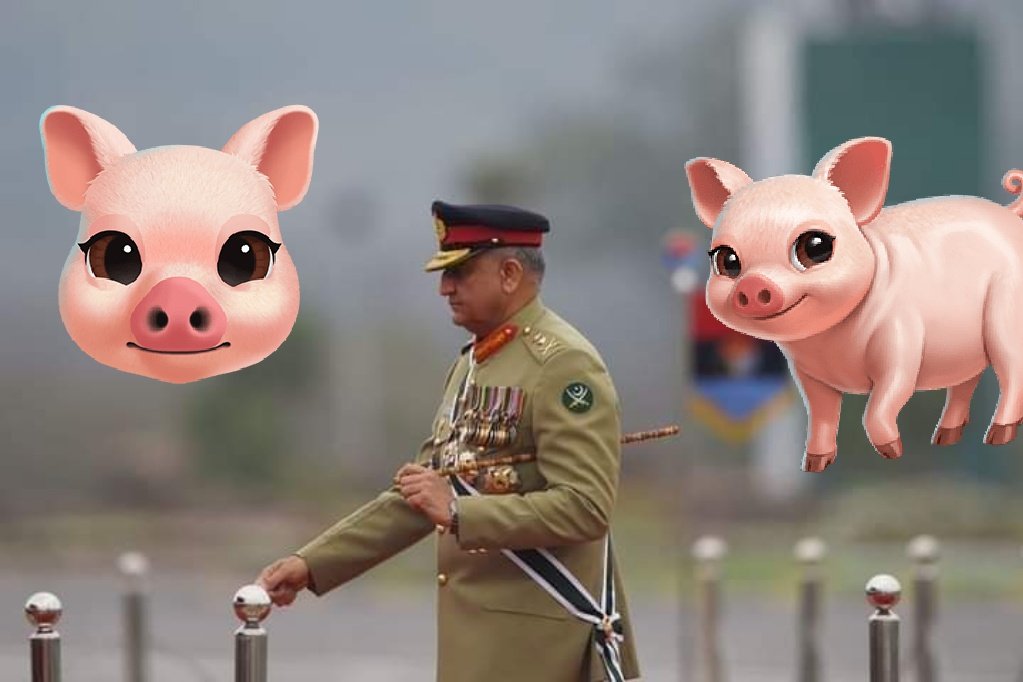 Pakistan's hypocrite pooj has succeeded in killing Afghans, and now the future is coming. We will never forget your atrocities.
زما  دی  لوی  کور افغانستان لوی  قاتل  همدا رازیل  دی