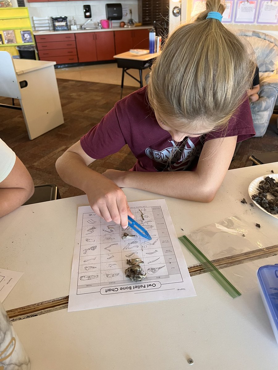 abbeycron tweet media