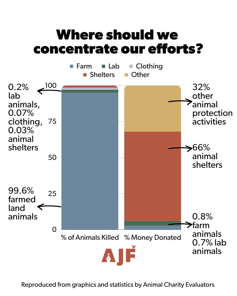 AJF_Australia's tweet photo. Around the world, the number of animals used &amp; killed in animal agriculture dwarfs those killed in labs, shelters, &amp; those killed for clothing. 4 more info- https://t.co/CGwNKnqSrb
#AnimalProtection #Philanthropy #FarmAnimals #AnimalJustice #Will #EthicalInvestment  #AnimalLovers https://t.co/IkhcGc9Tzv