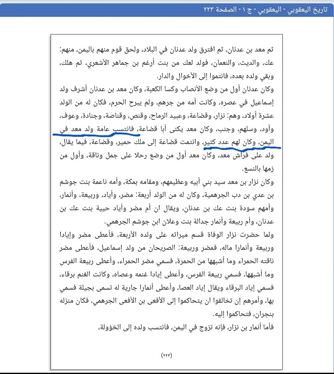 راشد tweet media