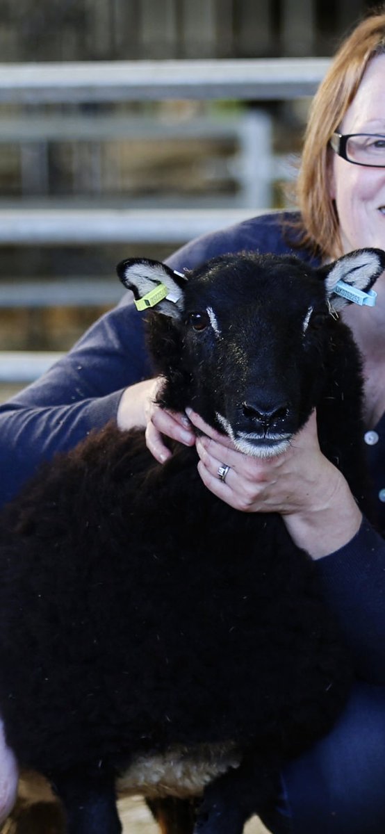 Enfys Williams tweet media