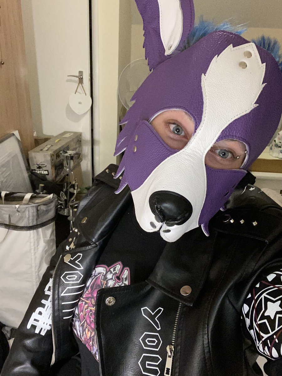 humanpuprogue's tweet photo. She’s just a pup, he’s just a pup, everyone’s a puppy #pupplay #femalepup #puppyplay https://t.co/8t0AzGBaSi