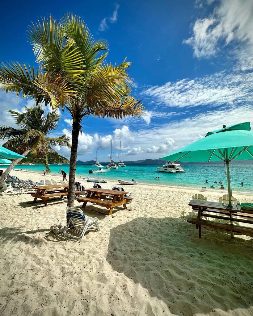 mediawire's tweet photo. #soggydollarbar #soggy #jostvandyke #bvi #bviturismo https://t.co/JaZGz0DVBS https://t.co/7252NvoTpV