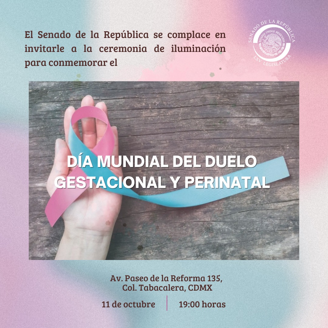 El Senado se iluminará mañana con motivo del Día Mundial del Duelo Gestacional y Perinatal.
📆 11 de octubre.
⌚ 19:00 horas.