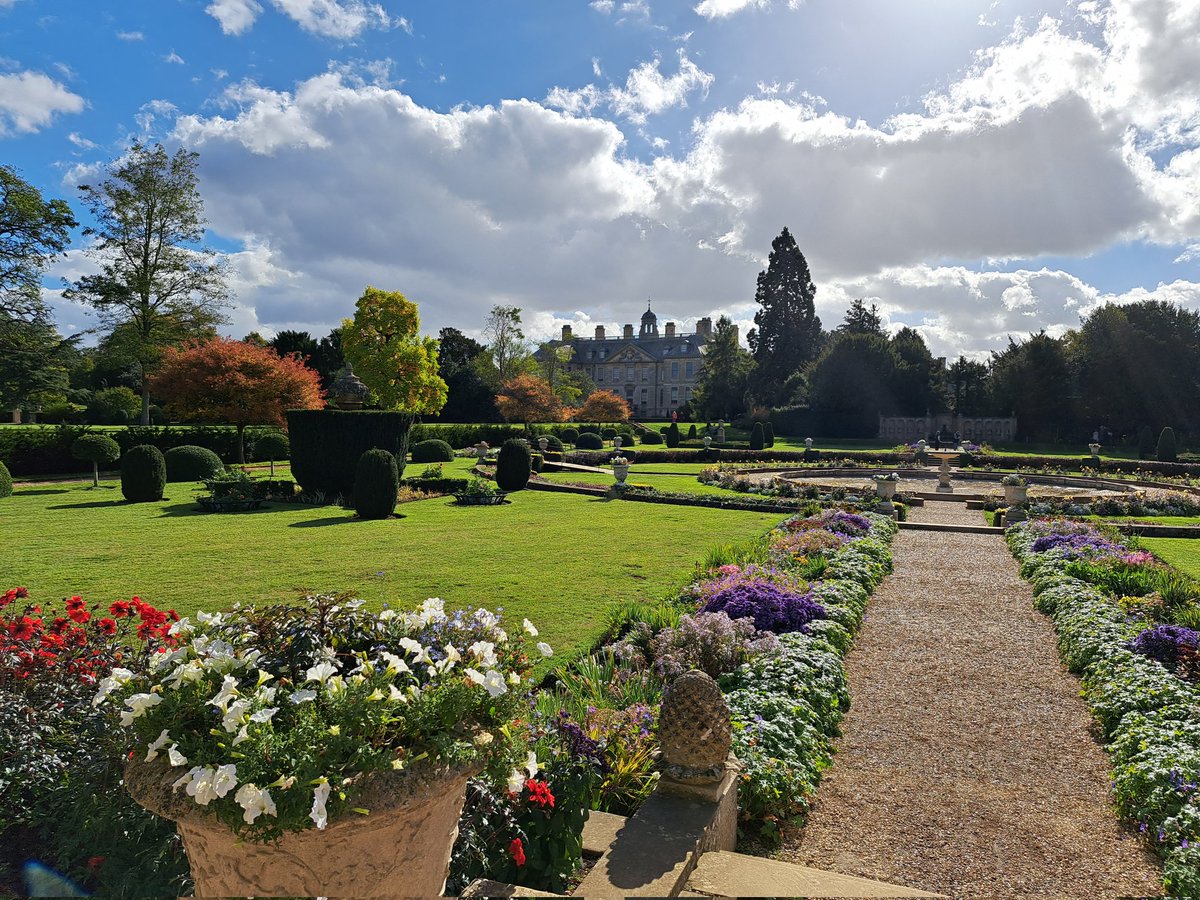 Ruth Pettit tweet media