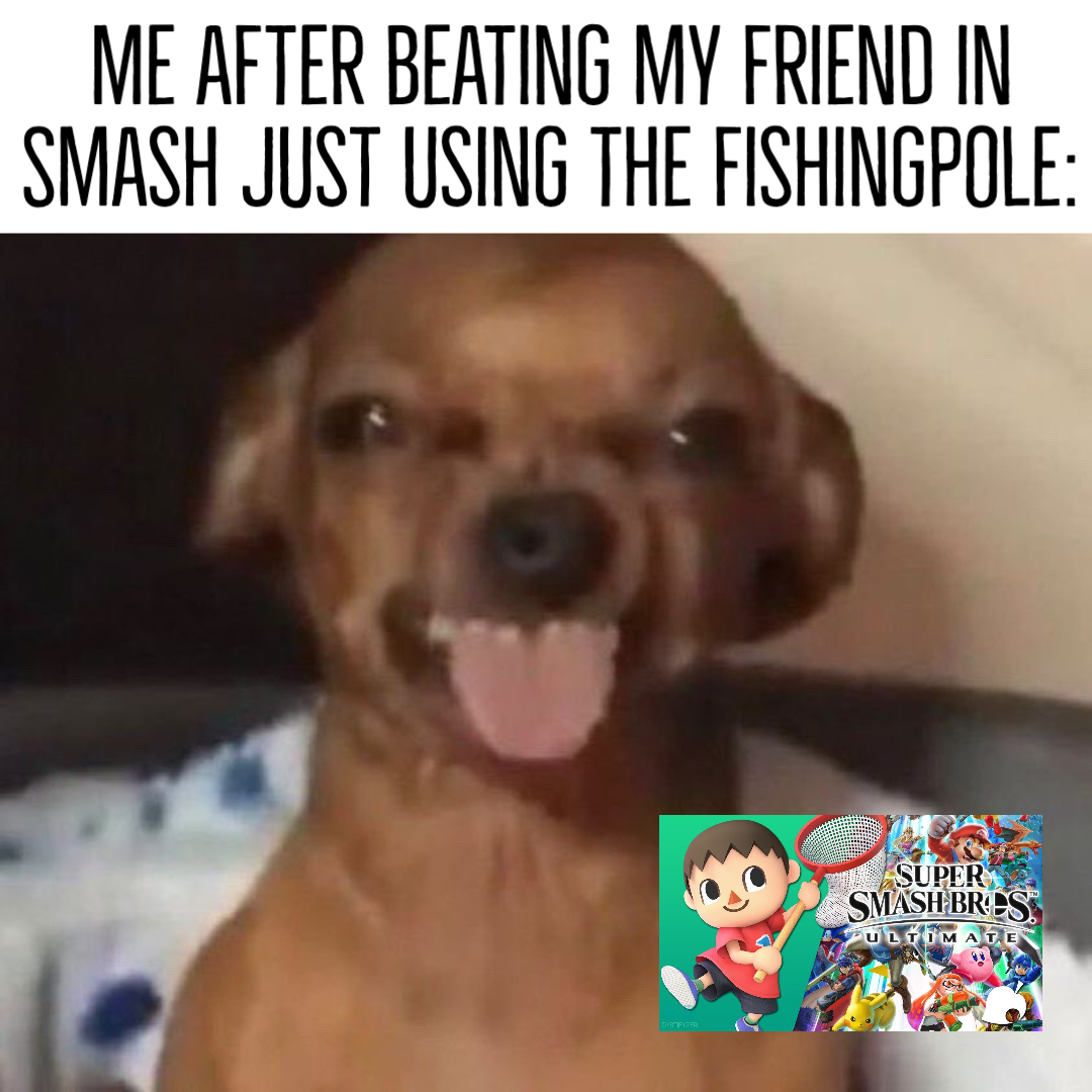 carolinagamingarena tweet media