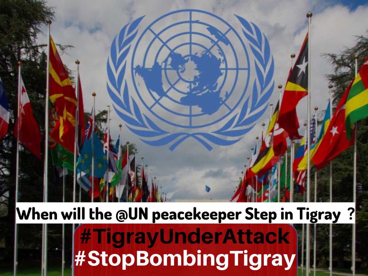 As #Abiy& #Isaias  continues to kill #Tigrayans systemically to satisfy their colonial thirst, will the @UN dare to step in and save millions❓❓

@USAmbUN @UN @EU_Commission @USUN @POTUS @EUCouncil @SecBlinken @hrw @MikeHammerUSA #TigrayUnderAttack #WMHD2022
🚩#StopBombingTigray