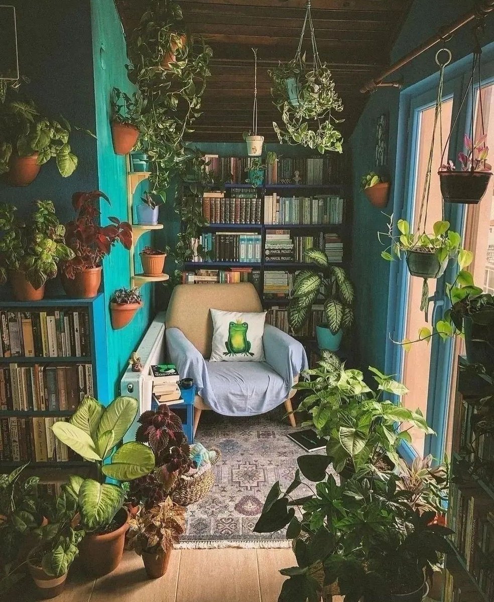 HobbyistPlant's tweet photo. A cozy reading spot 🌿 https://t.co/AXlZ17LurI