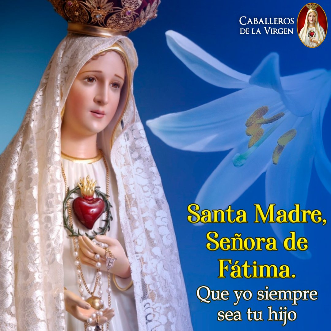 Caballeros de la Virgen on Twitter: 