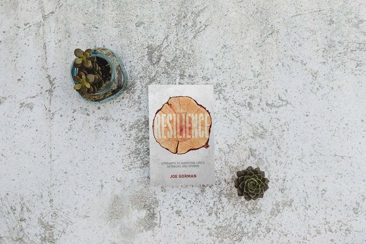 Releasing summer 2023--available for preorder! 

In Resilience, Joe Gorman explores the resources of the Christian faith that can sustain us during difficult seasons, helping us gradually grow into people who can withstand life’s trials and storms. bit.ly/3TfkKTD