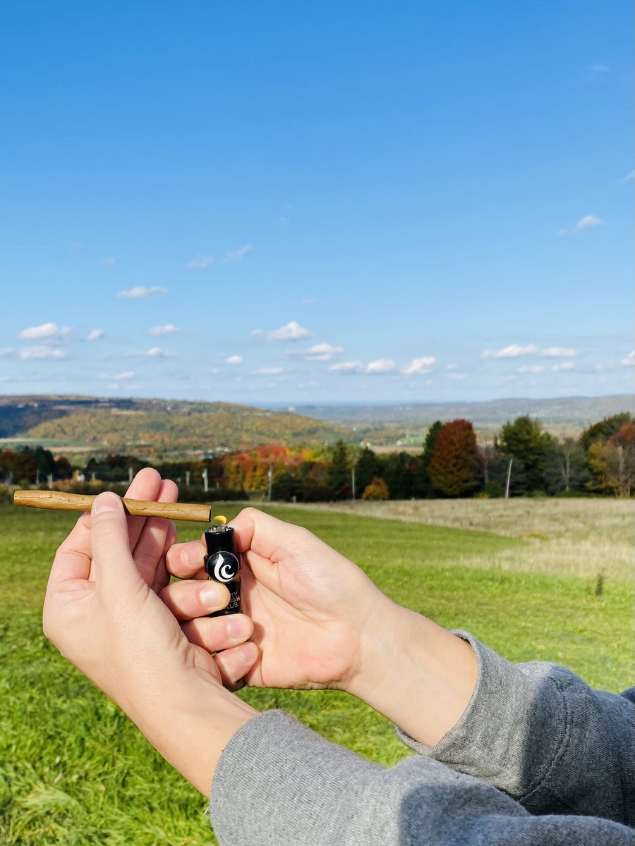 BougieGypsy's tweet photo. #fall #applepicking @Beakandskiff @LighterCharms https://t.co/xykz5IhfAY