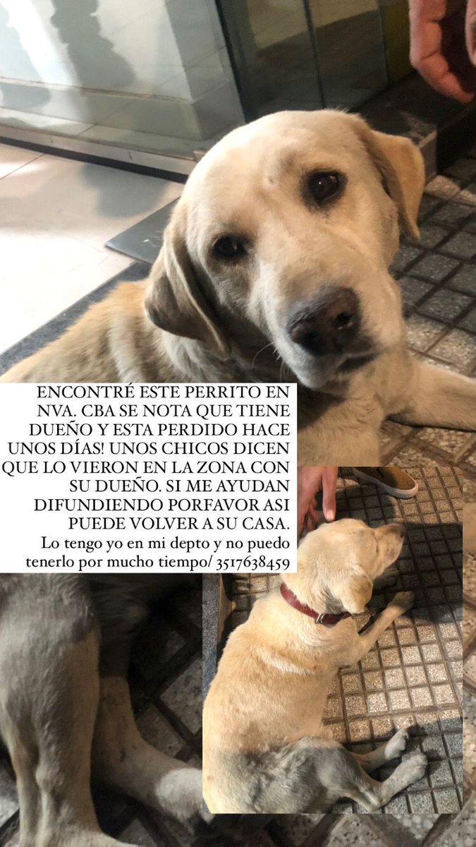 GenesisLabrin's tweet photo. @VivireNuevaCor @VivireNuevaCba @VivirenP @en_guemes https://t.co/FFVStRnwCE