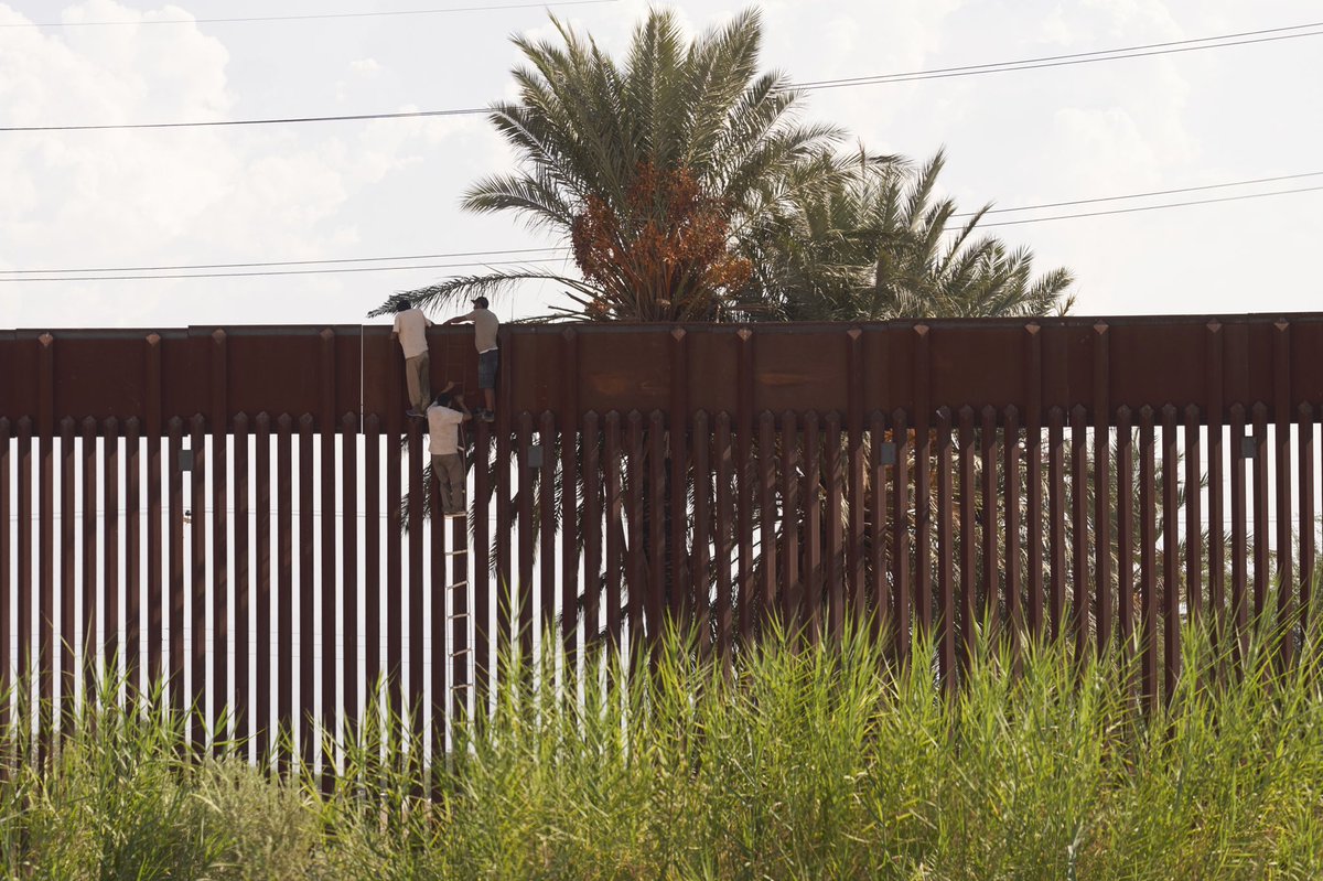 Allison Dinner tweet media