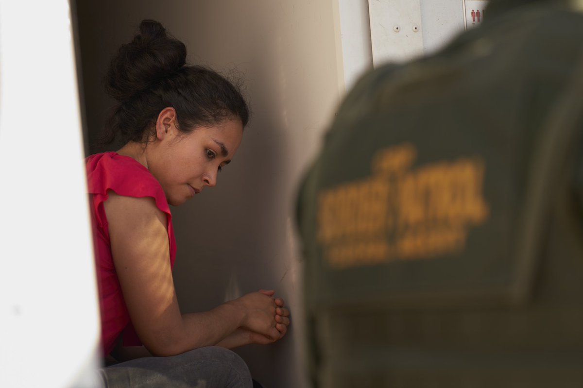 Allison Dinner tweet media