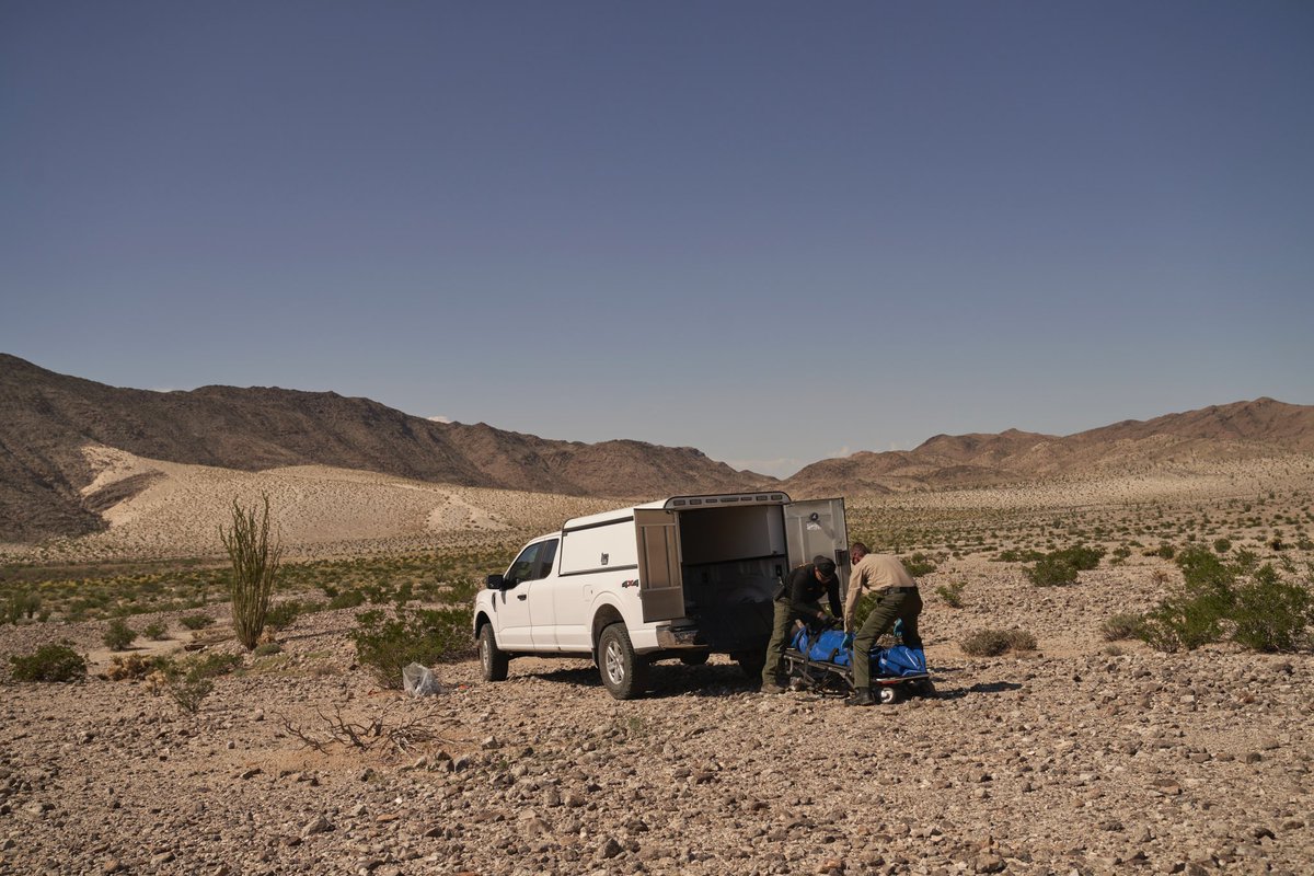 Allison Dinner tweet media