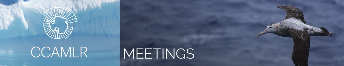 In preparation for @CCAMLR1 41, countries and NGOs have been networking on #MPAs and #krill conservation measure proposals.

#CCAMLR41 starts on 24th October in Hobart. We're looking forward to getting support from key member states! meetings.ccamlr.org/en/ccamlr-41 #ProtectAntarctica