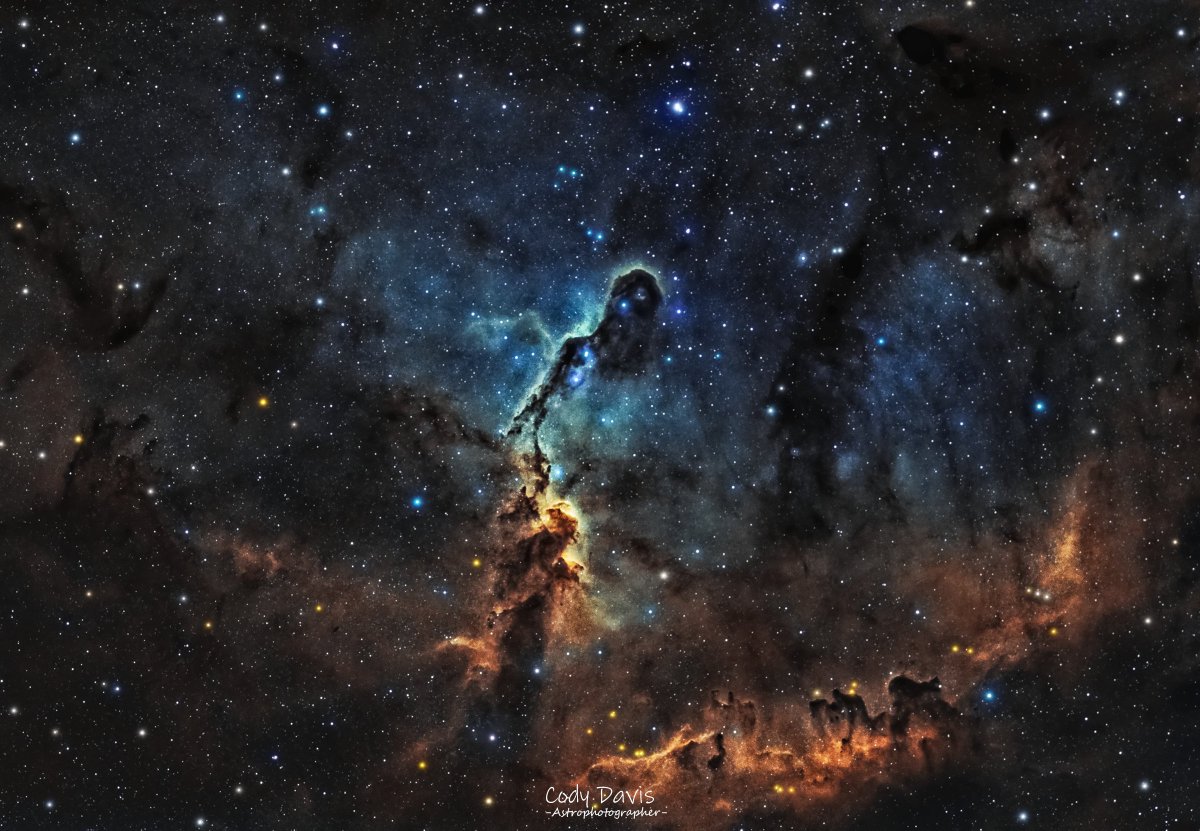 Elephant's Trunk #Nebula from my #backyard

#Astrophotography 
#ThePhotoHour 
#Space 
#AstroHour