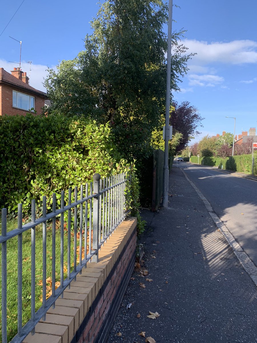 Lovely short walk today after a fantastic day of lectures and a meeting with <a href="/GaryMitchellRN/">Gary Mitchell</a>, <a href="/alisonsmart28/">AlisonSmart</a> and <a href="/starkresearch1/">Dr Patrick Stark</a>! Self care is so important for us as student nurses, not just today, but everyday.❤️ #selfcareforhealthcare #QUBSONM