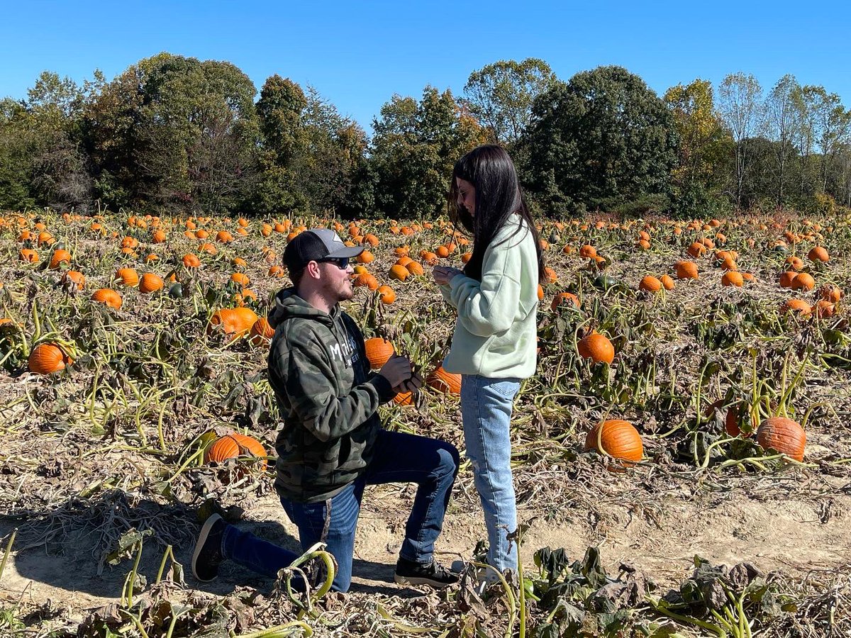 Spry ⚡️ tweet media