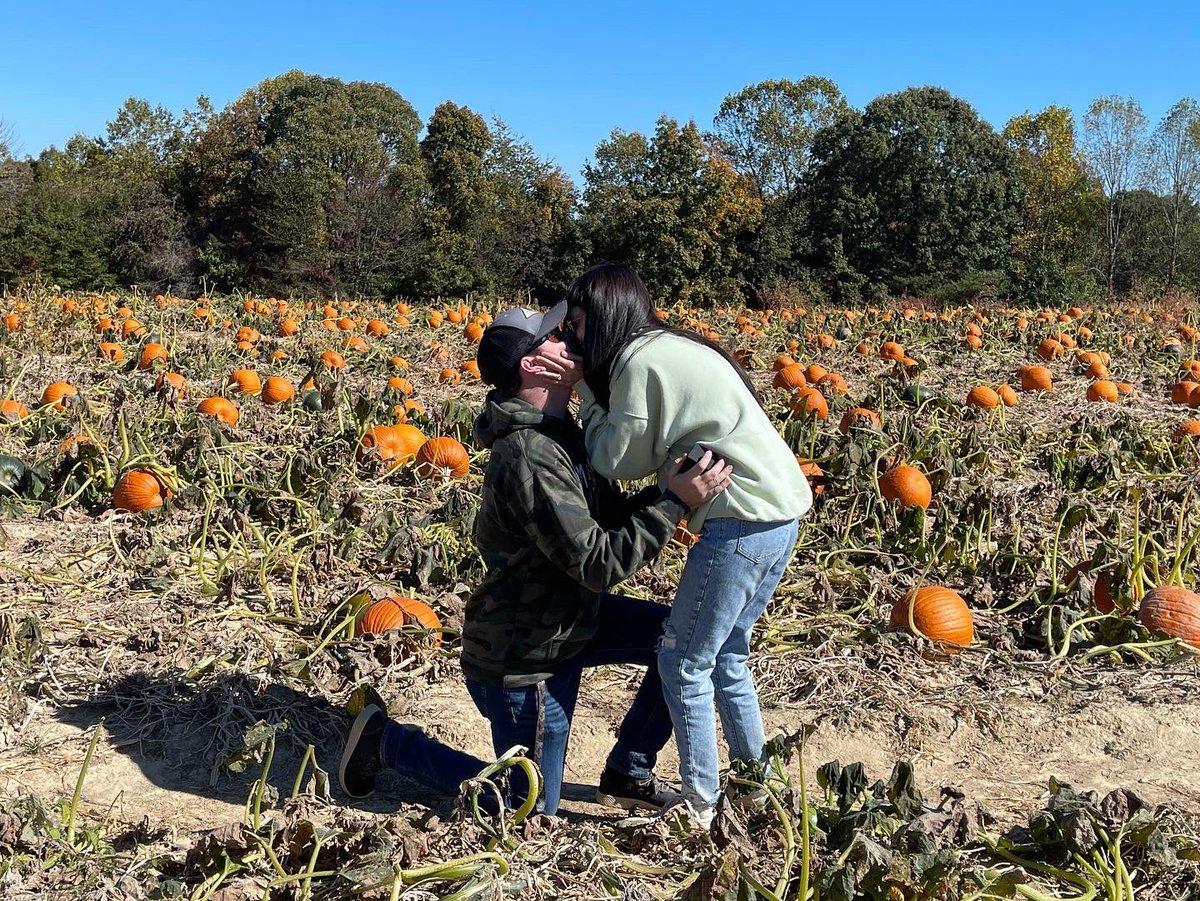 Spry ⚡️ tweet media