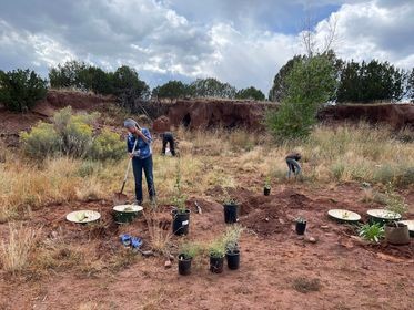 groasis's tweet photo. Since the industrial revolution in the 18th century, the temperature on Earth has risen. #Deforestation and land clearance reduce the capacity to #removeCO2 from the air. What can we do, just #planttrees!
#Groasis #Waterboxx, lower your #carbonfootprint!
https://t.co/NY38L2jZJL https://t.co/FuMibIphPl