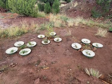 groasis's tweet photo. Since the industrial revolution in the 18th century, the temperature on Earth has risen. #Deforestation and land clearance reduce the capacity to #removeCO2 from the air. What can we do, just #planttrees!
#Groasis #Waterboxx, lower your #carbonfootprint!
https://t.co/NY38L2jZJL https://t.co/FuMibIphPl
