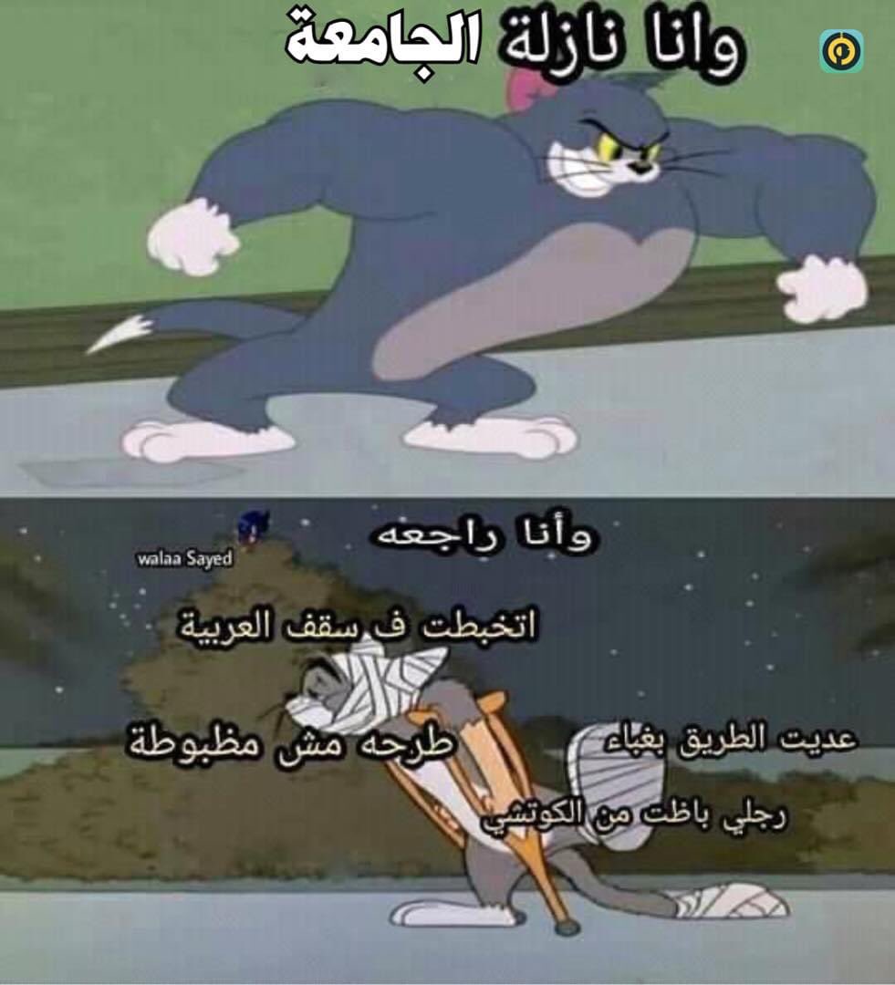 egymeme11's tweet photo. https://t.co/9GYmW66Uxh
