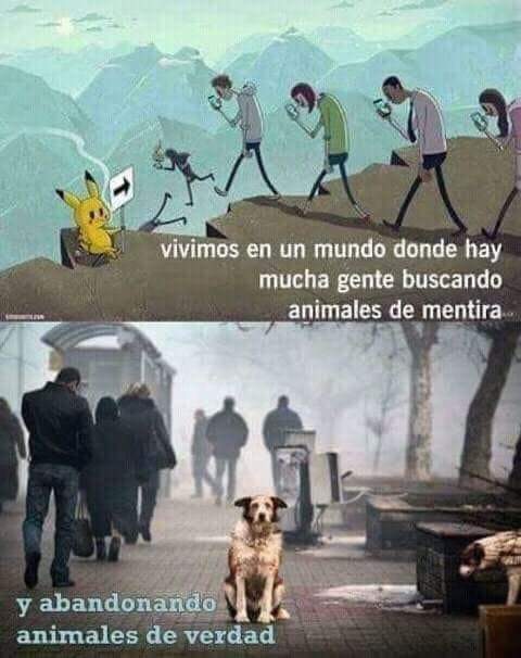 Alfredo Marquez T. tweet media