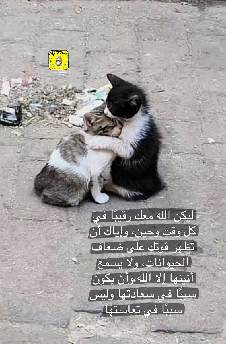 لمياء عبدالله النفيعي tweet media