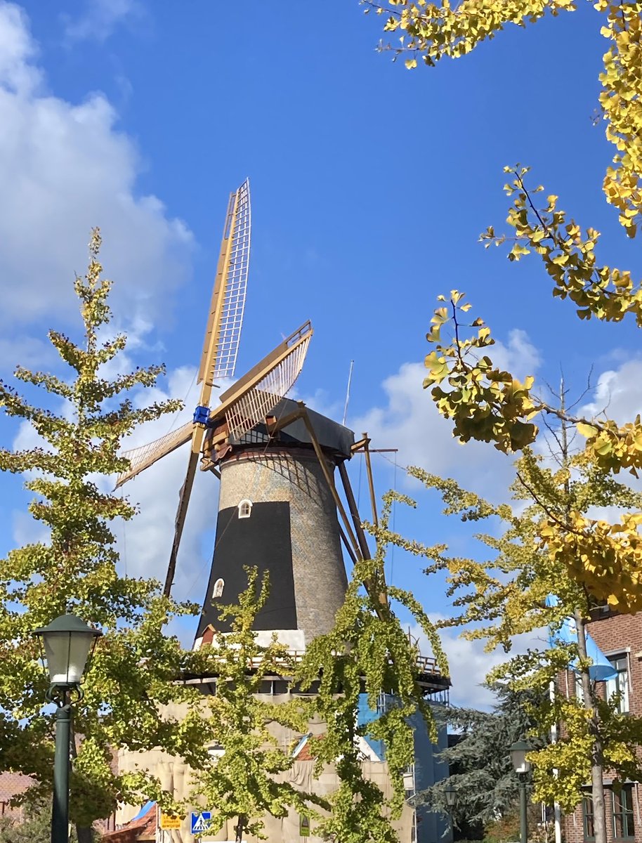 arnoldvanrhijn's tweet photo. Restauratie molen #Windlust in Wassenaar nadert voltooiing! #windmill ๐ณ๐ฑ @m0lens @mo1ens @RijnlandseMolen @HartWassenaar https://t.co/DS5JKdaiy1