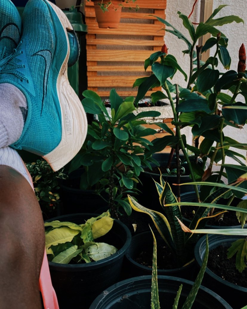 Thaumeen11's tweet photo. Nice picture! #nike #nikealphafly #plants https://t.co/ZPaVo0Smuy