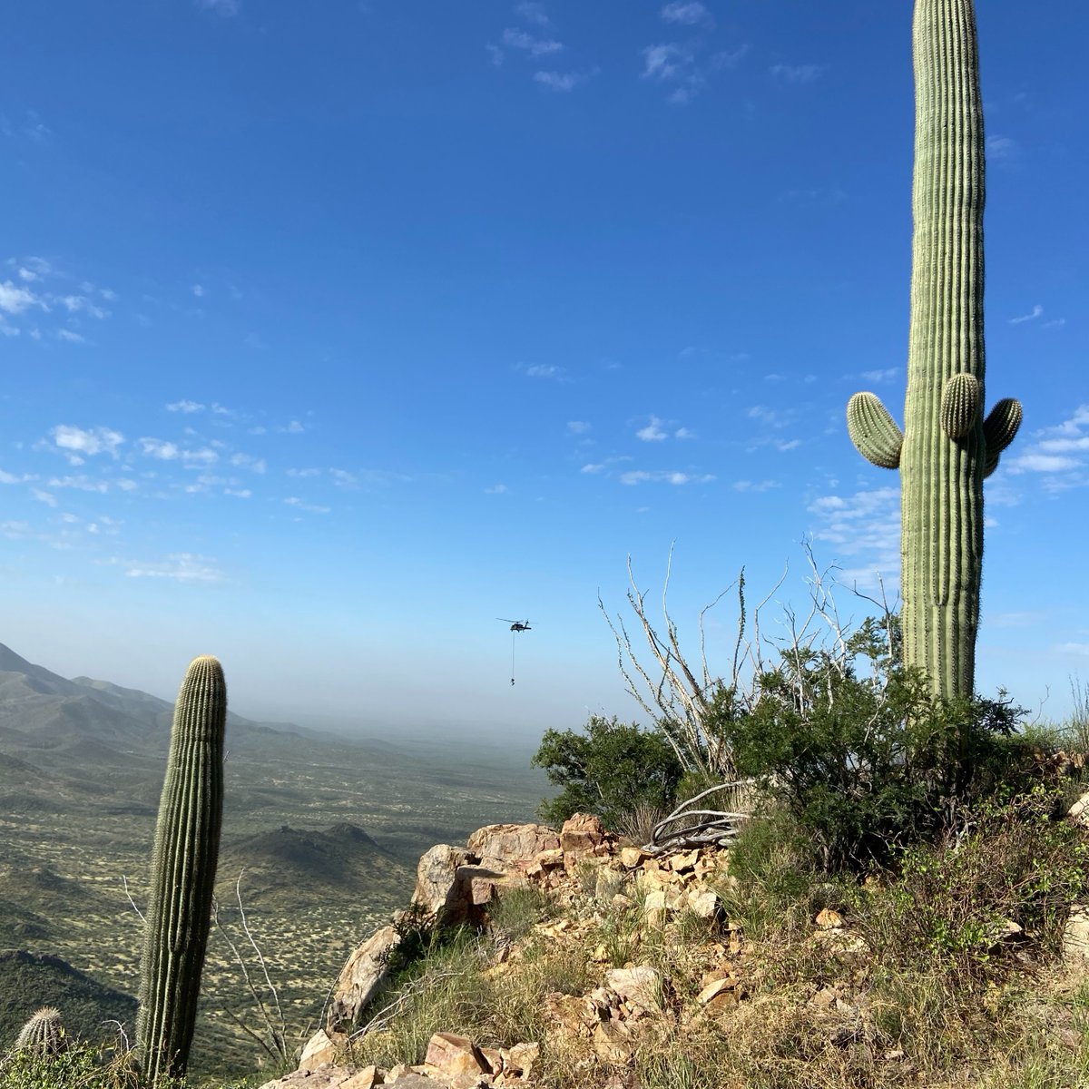 USBPChiefTCA's tweet photo. #SavingLives

With assistance from @CBPAMO, Tucson Sector BORSTAR and Three Points Station agents rescued a Guatemalan citizen in the Baboquivari Mountains last Tuesday, extracting the 30-year-old man off a treacherous ledge. #HonorFirst https://t.co/2EWzIy975c