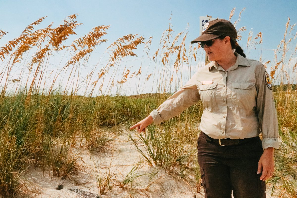se_casc's tweet photo. Jackie Sablan, USFWS Active Refuge Manager at Bon Secour National Wildlife Refuge, led symposium participants on a tour of the living shoreline and beach habitats surrounding Fort Morgan. #se_casc #Science4Climate Learn more: https://t.co/YtDCkGpJnN https://t.co/0Xcvzaw7tD