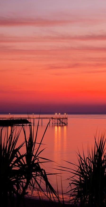 Good evening