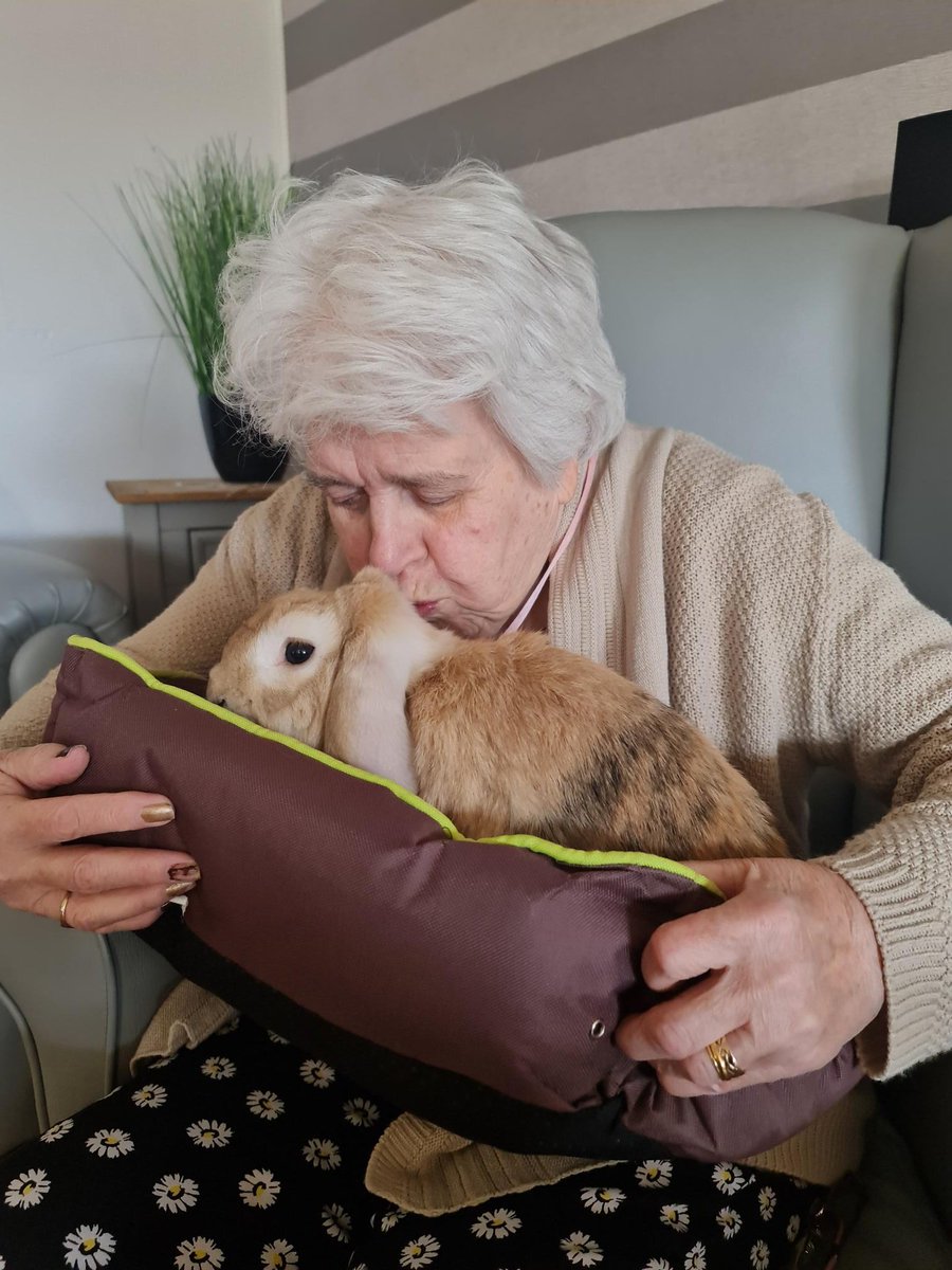 PrimeLife tweet media