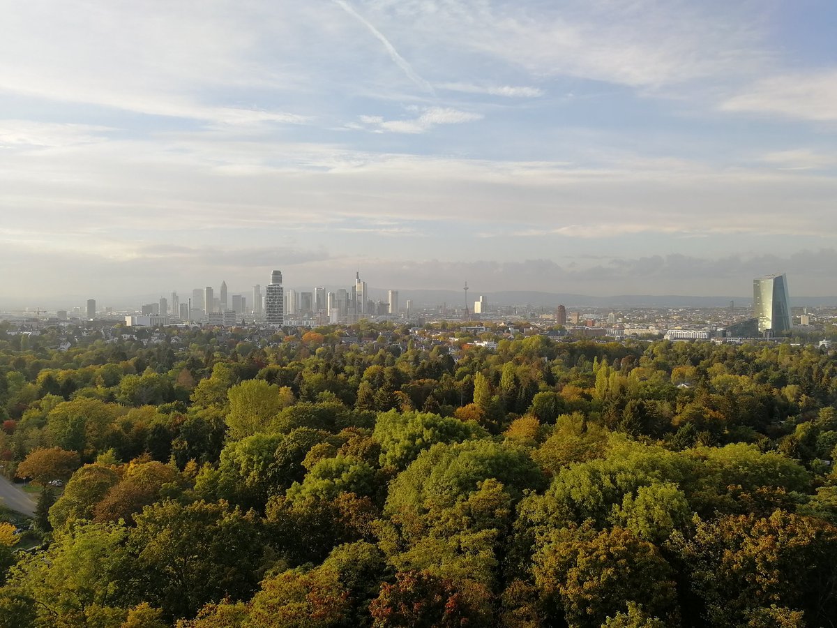 mainzelmaedchen tweet media