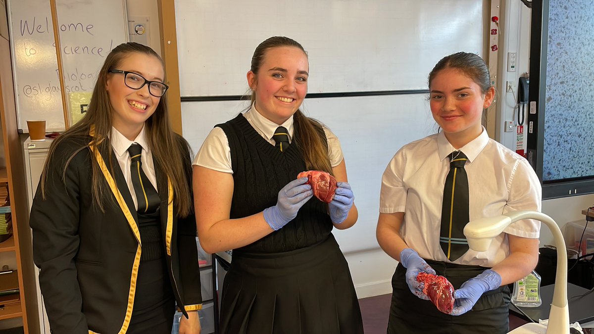 @LarkyScience tweet media