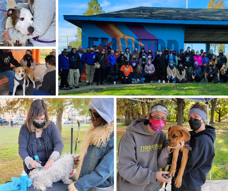 BMoreDog's tweet photo. Check out our October e-newsletter for details of our Oct. 20th Happy Hour &amp; how to join us as a volunteer at our next B-More Dog Wellness Clinic! https://t.co/nEuFLShcQq #BMoreDog #BaltimoreVolunteer #BaltimoreDog https://t.co/Gdyg1pTomw