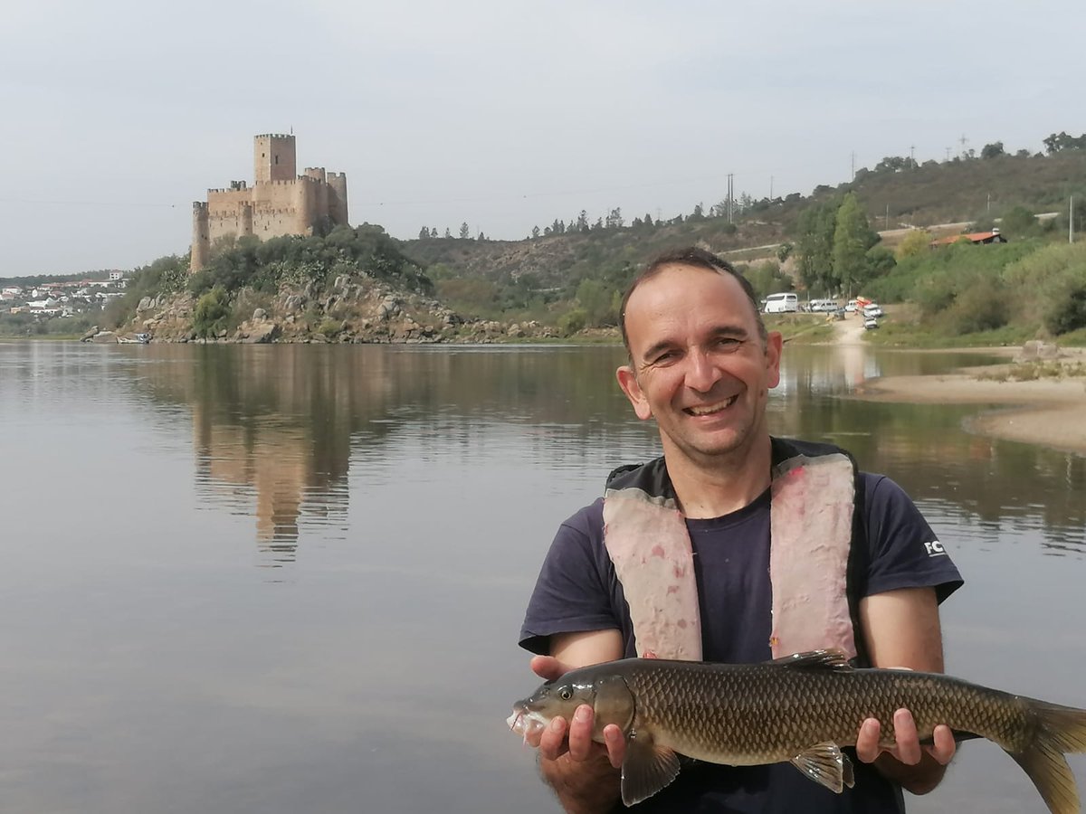 FishInvasionLab's tweet image. These last two weeks our group is monitoring the fish communities in last 120 km of the Lower Tagus River. We are running this program since 2017 and unfortunately the European catfish abundances are getting higher... #silurus #MEGAPREDATOR #Belver #Tejo  @MARE_centre #alienfish
