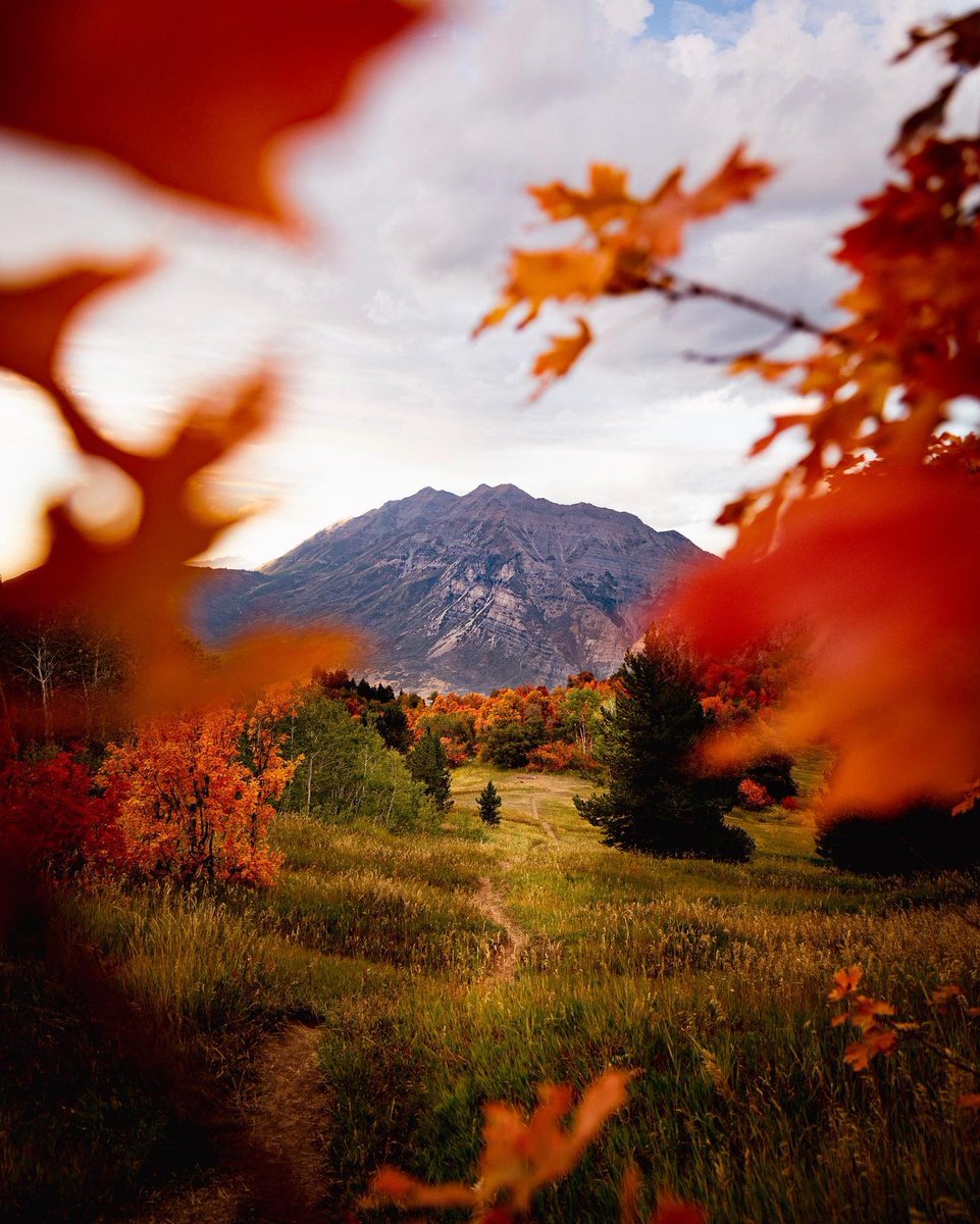 VisitUtahValley's tweet photo. These fall colors are 🔥🔥🔥⁠
📷️: @parker_garris⁠
#mounttimp #timpanogos #leafpeeking #fallcolors #utahfall #utahisawesome #travelutah #utahvalley https://t.co/mVQYFBS11S