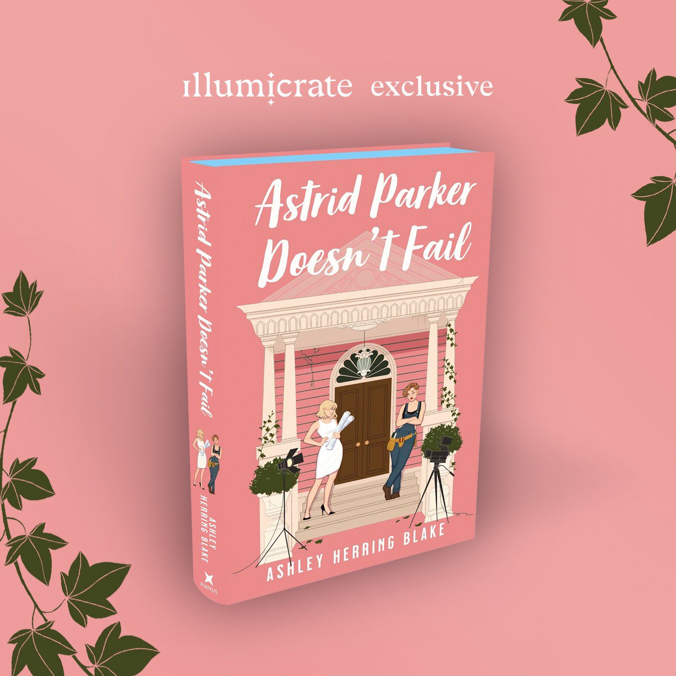 Illumicrate on Twitter "Our team loved Delilah Green Doesn’t Care, and