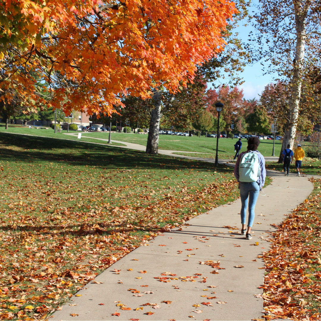 MarianUniv's tweet photo. The leaves ae changing! We love campus in the Fall. 
Take in our beautiful campus and have a great Monday! https://t.co/RYMPGNfMsT
