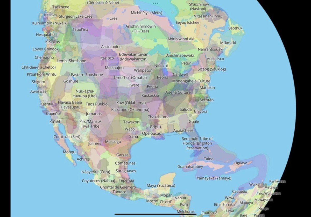 @tiffanydcross tweet media