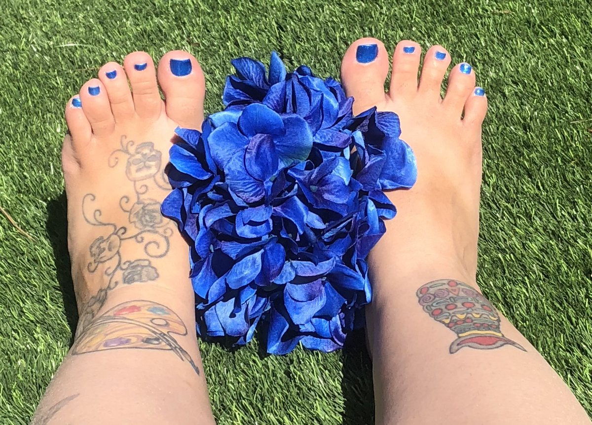 FeetiFun's tweet photo. #feet #foot #art #feetworship #feetfethish #feetpic #feetpicsforsales #feetpics #FeetPicture #feetpictures #flower #Flowers #hibiscous #blue #bluetoes #blueflower #outside #toes #toenails https://t.co/ATA8yodYyo