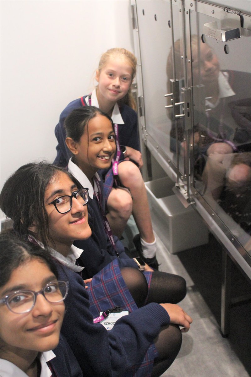 Year 7 volunteers spent their lunch time with FAUNA today, helping to organise their marketing materials in preparation for posting to local residents. They very much enjoyed volunteering whilst also learning about veterinary procedures and business functions #NWC130 #Community